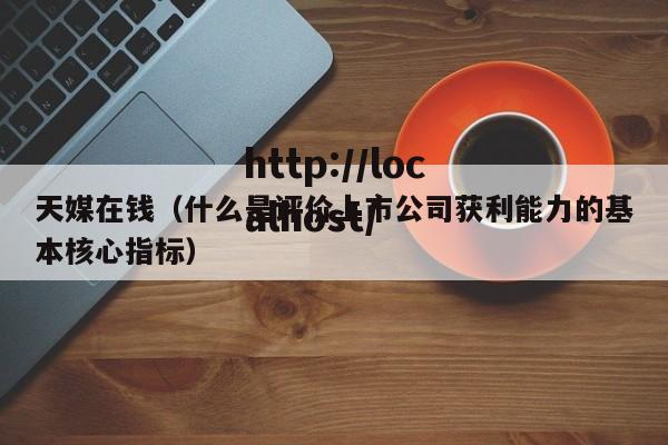 天媒在钱(什么是评价上市公司获利能力的基本核心指标)